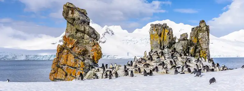 Antarctica South Shetland Island