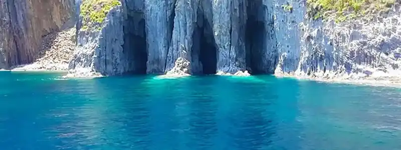 Palmarola