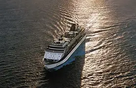 Celebrity Summit