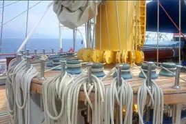 Royal Clipper