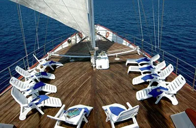 Photo 4 of M/S Panorama