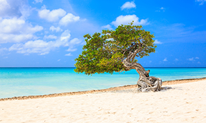 Images of Aruba