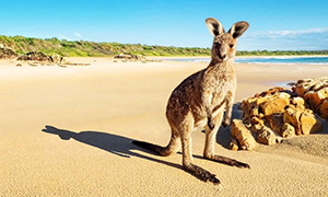 Australia