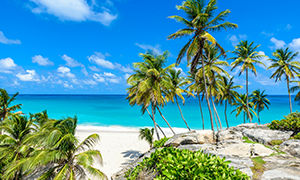 excursions Barbados