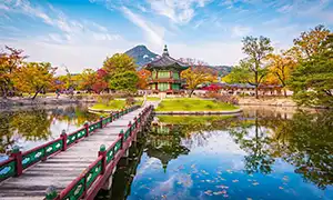 excursions South Korea