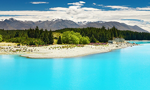 New Zealand